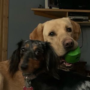 Meet your Posher, Erica